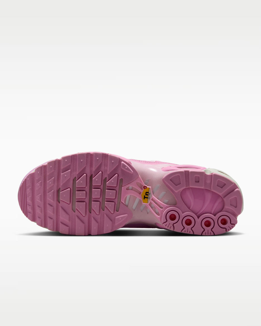 Παπούτσια Nike Air Max Plus Suede